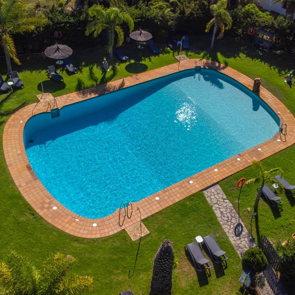 Piscina al aire libre con tumbonas y bungalows entre palmeras.